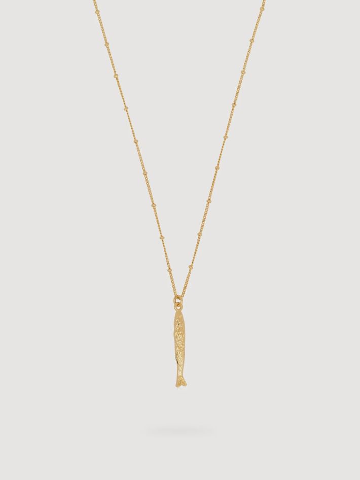 Ketting Rana Fish