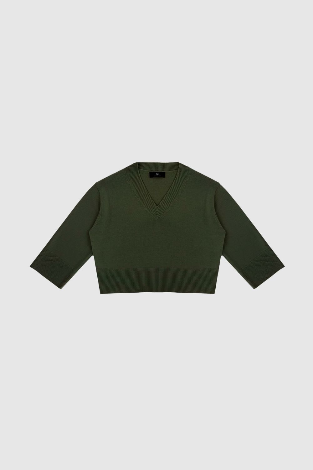 WBLCAMILLA LS V-Neck Pullover