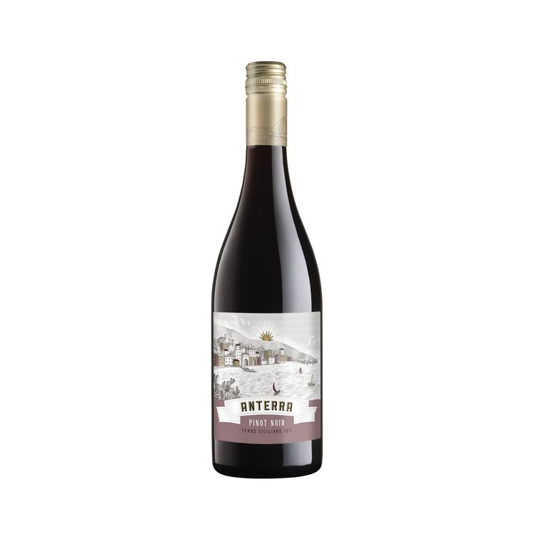 Anterra Pinot Noir(Sc)