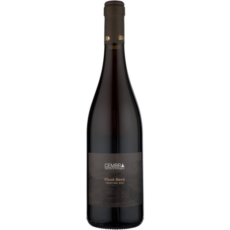 Cembra Pinot Nero 23