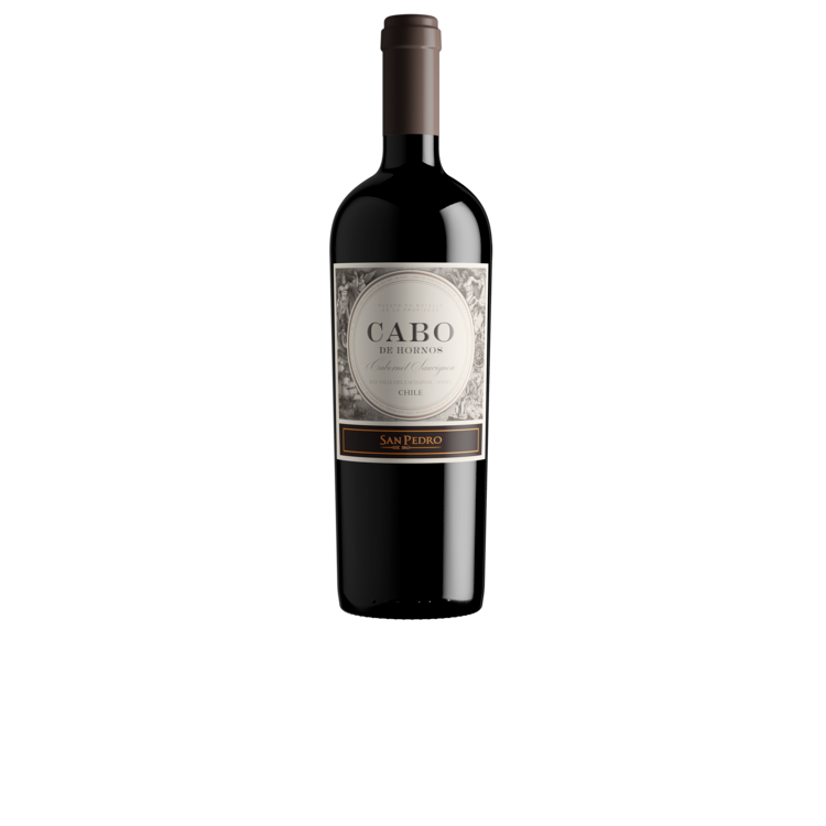 San Pedro Cabo Hornos Cab Sauv19Wd