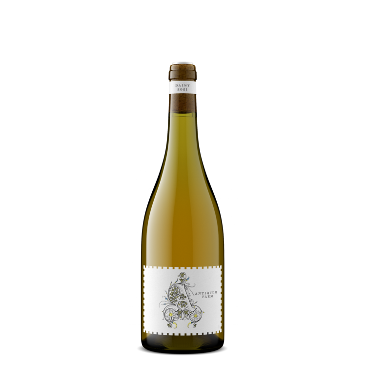 Antiquum Farm P Gris Daisy 21
