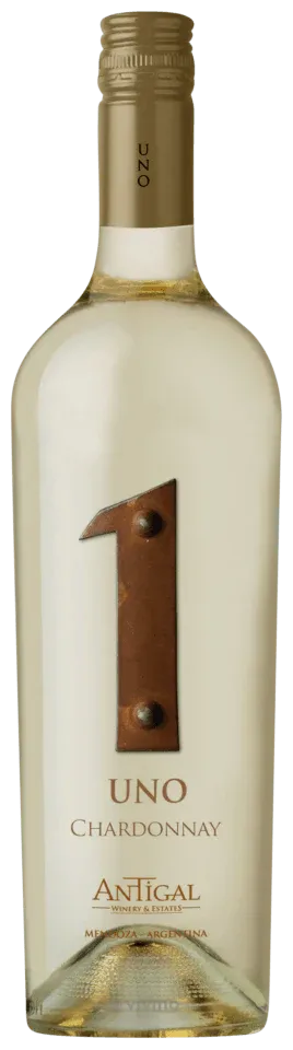 Antigal Uno Chardonnay(Sc)23