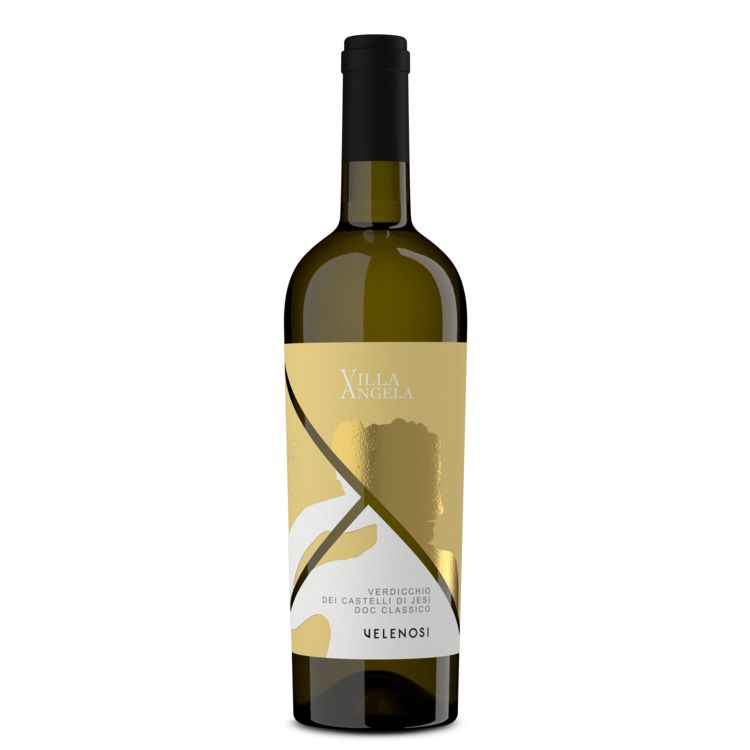 Velenosi Verdicchio Villa Angela23