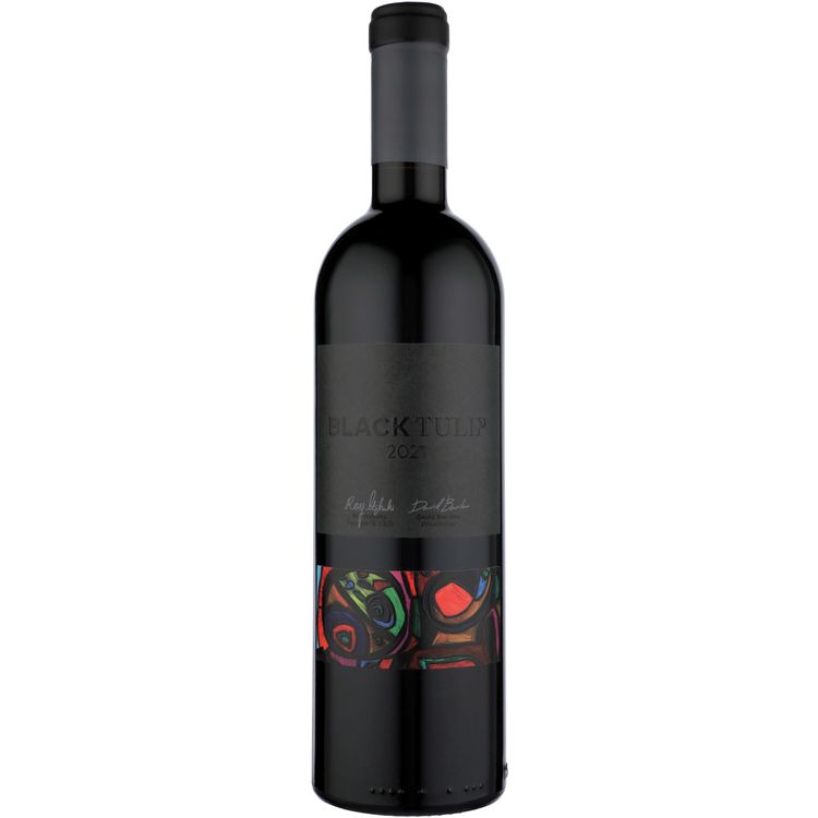 Tulip Black Tulip Red 21