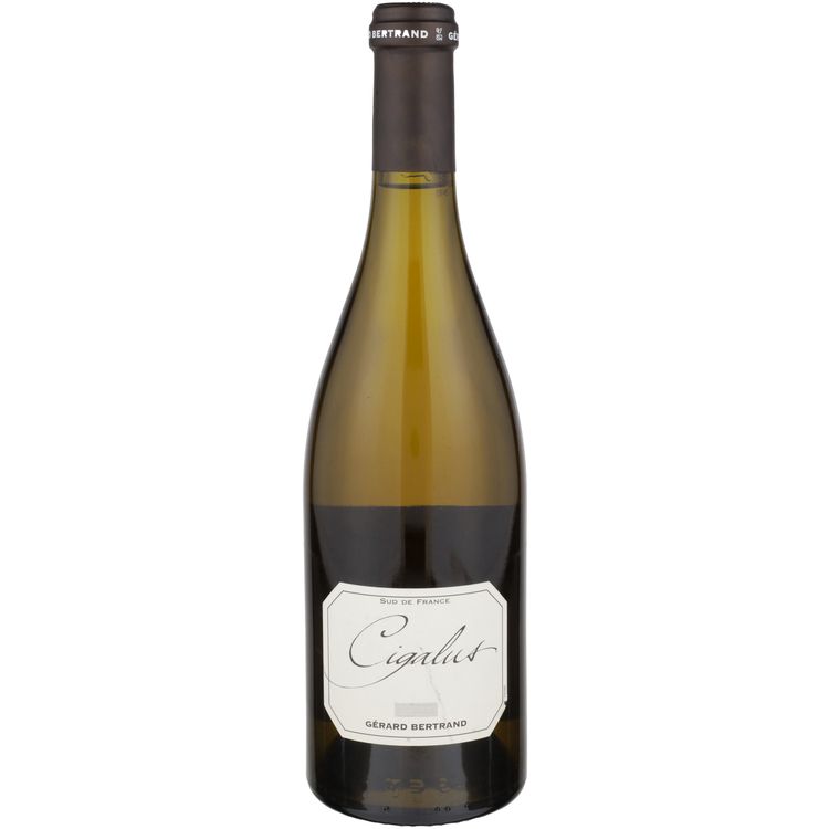 Bertrand Cigalus Bl 22 Wd