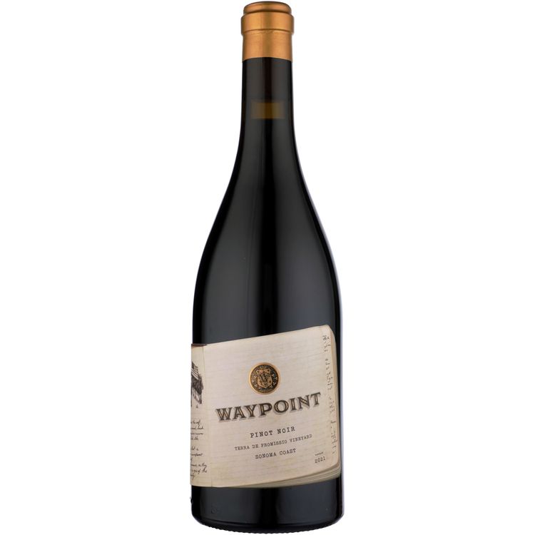 Waypoint P Noir Terra Promissio 21