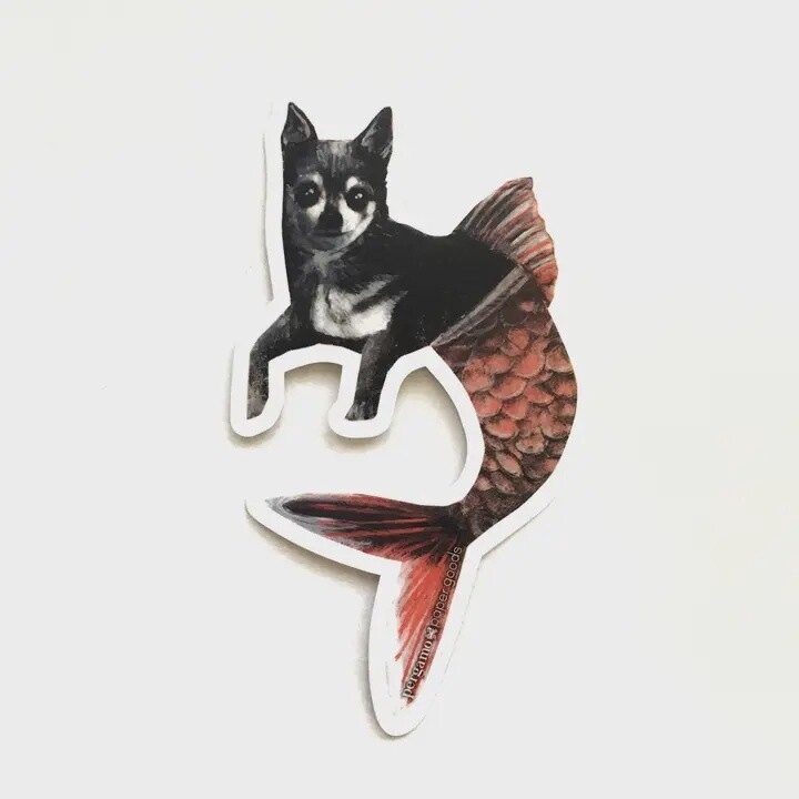 Chihuahua Mermaid Sticker