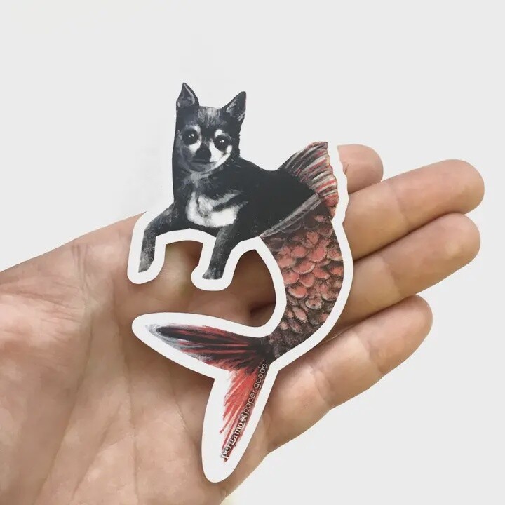 Chihuahua Mermaid Sticker