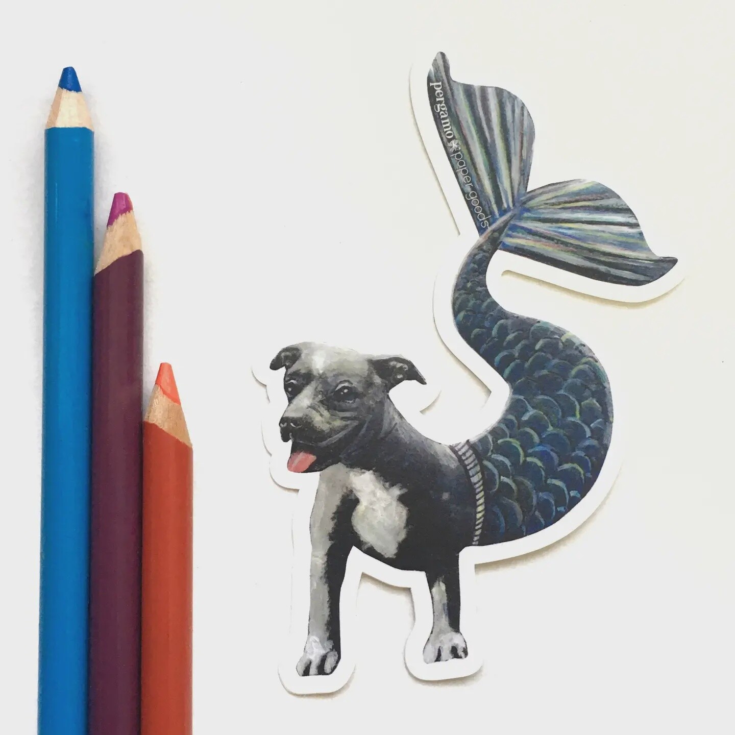 Pit Bull Mermaid Sticker