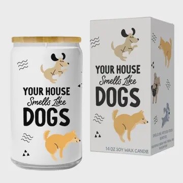 Your House Smells Like Dogs Candle