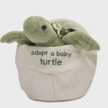 Adopt A Baby Turtle -8in