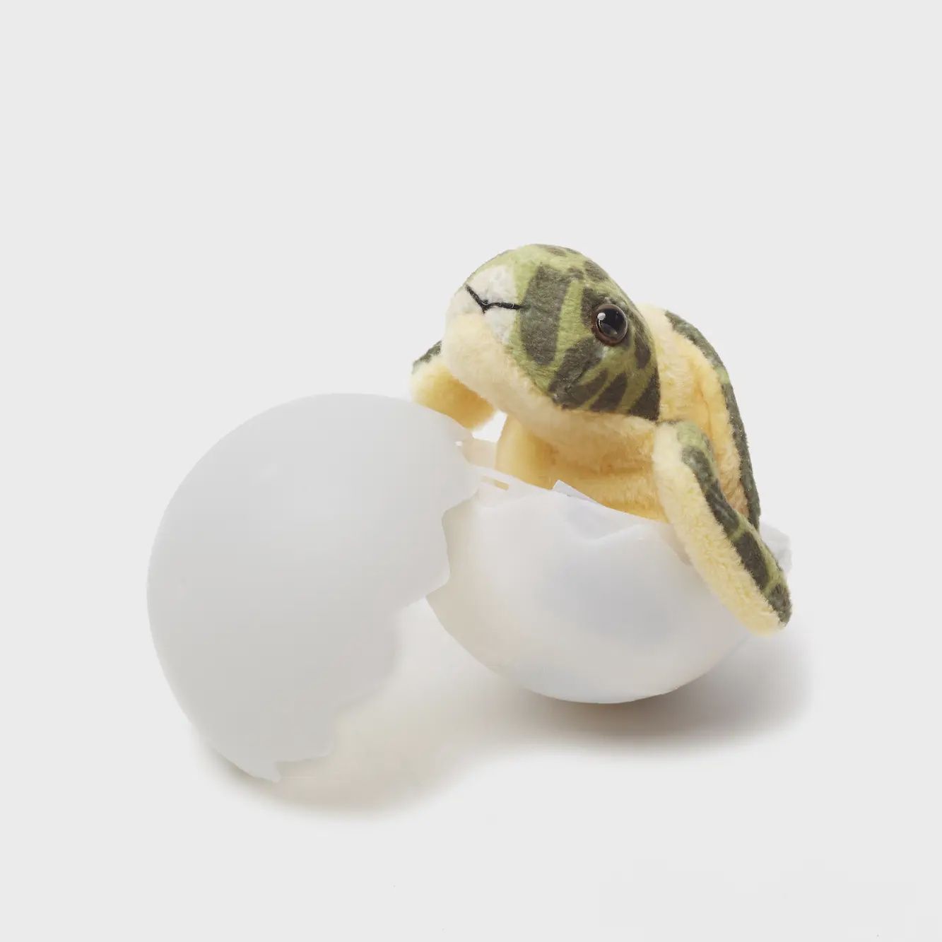 Sea Turtle Hatchling Egg