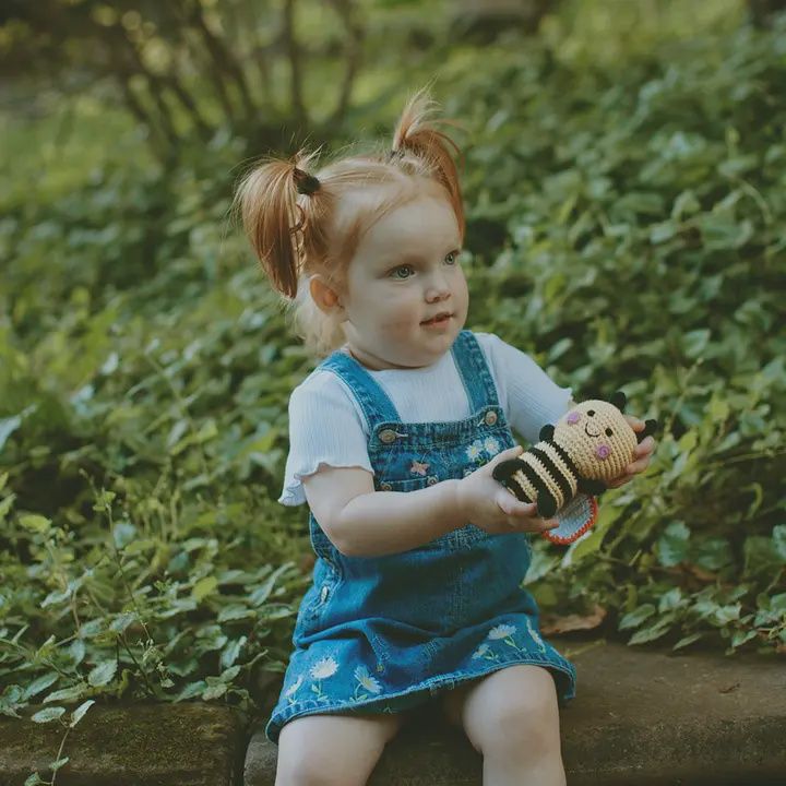 Bug Rattle - Bumblebee