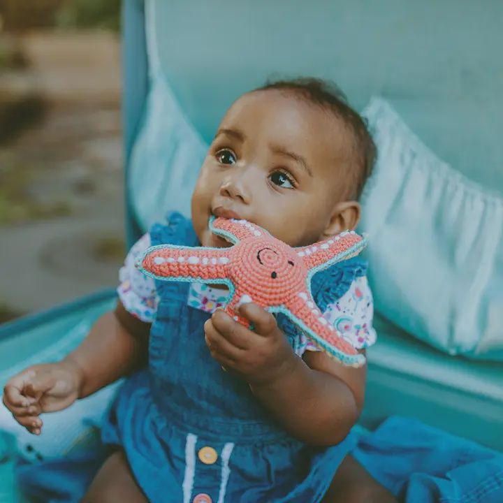 Starfish Rattle
