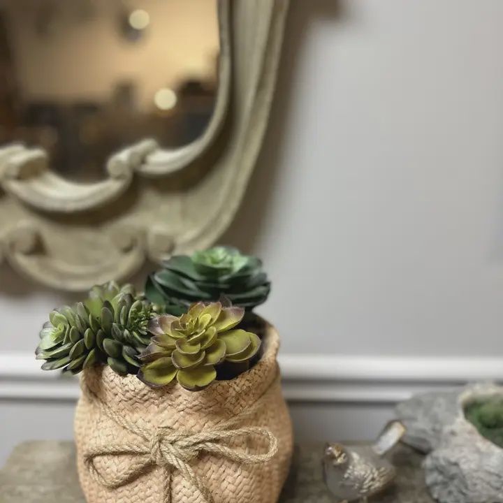 Cement Sack with Rope Tie Planter