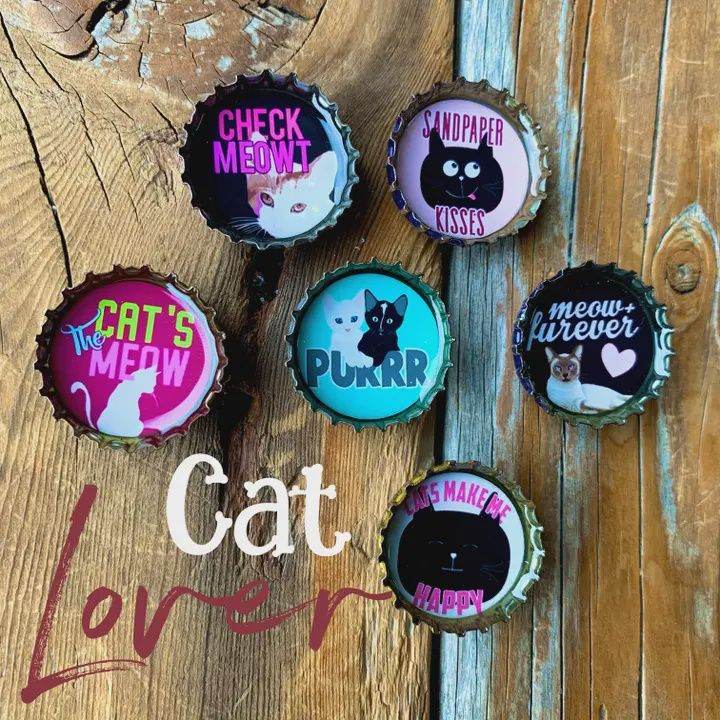 Cat Lover Magnets