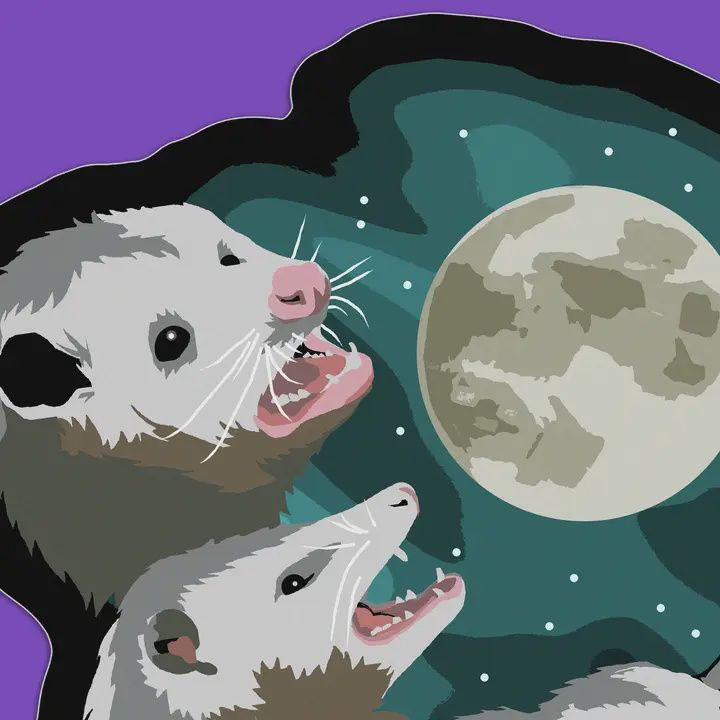 Three Possum Moon Sticker