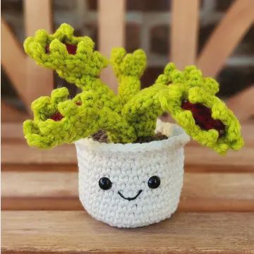 Crochet Succulent Plant