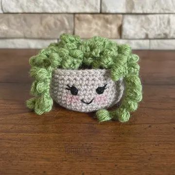 Crochet Succulent Plant