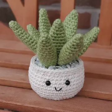 Crochet Succulent Plant