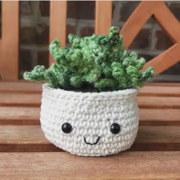 Crochet Succulent Plant
