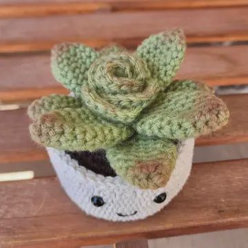 Crochet Succulent Plant