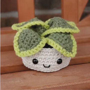Crochet Succulent Plant