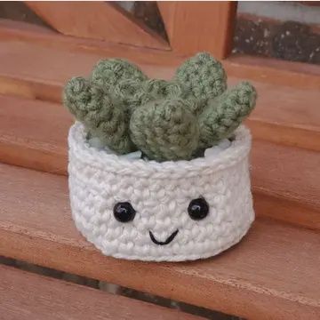 Crochet Succulent Plant