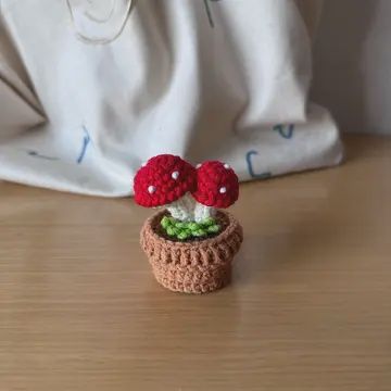 Crochet Succulent Plant