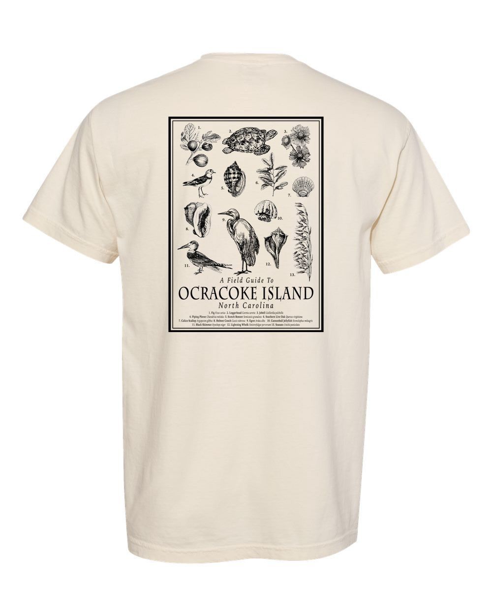 Ocracoke Field Guide T-Shirt- SS