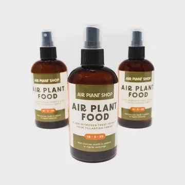 Ready-To-Use Tillandsia Air Plant Fertilizer