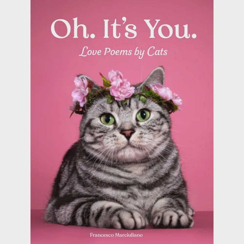 Oh. It&#39;s You. Love Poems by Cats