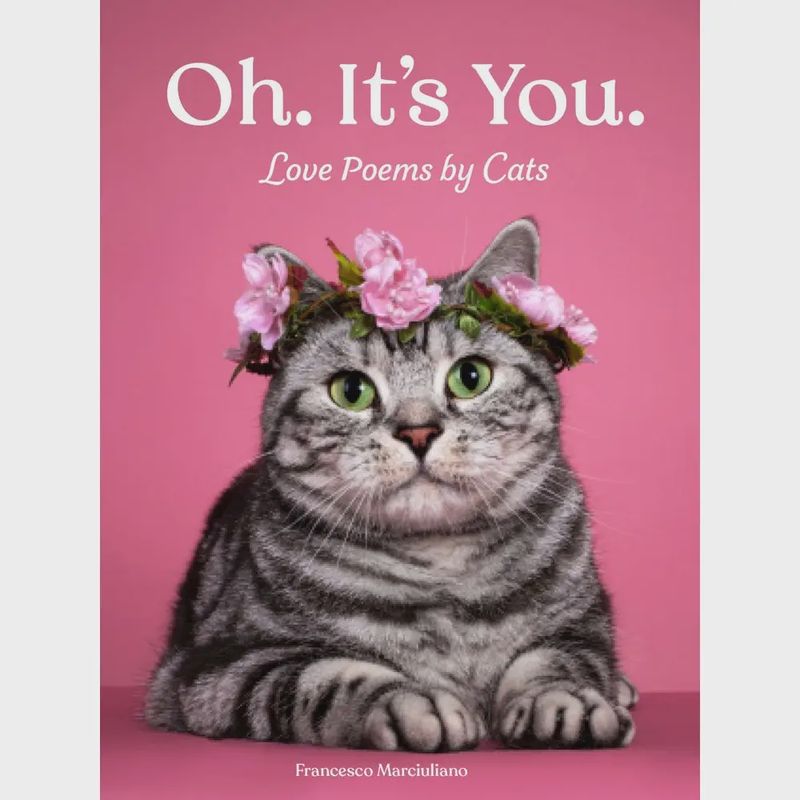 Oh. It&#39;s You. Love Poems by Cats