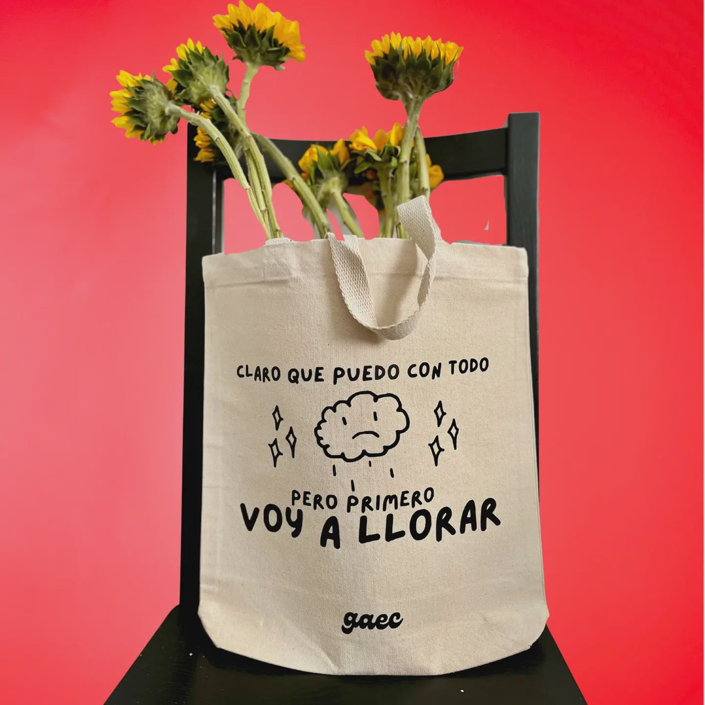 Primero Voy A Llorar