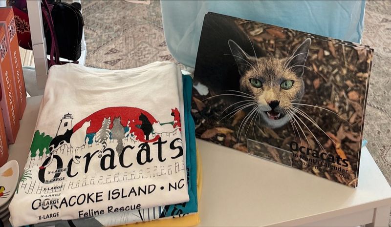 Ocracats 2026 Calendar