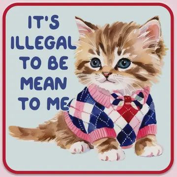 Illegal To Be Mean Sticker Decal