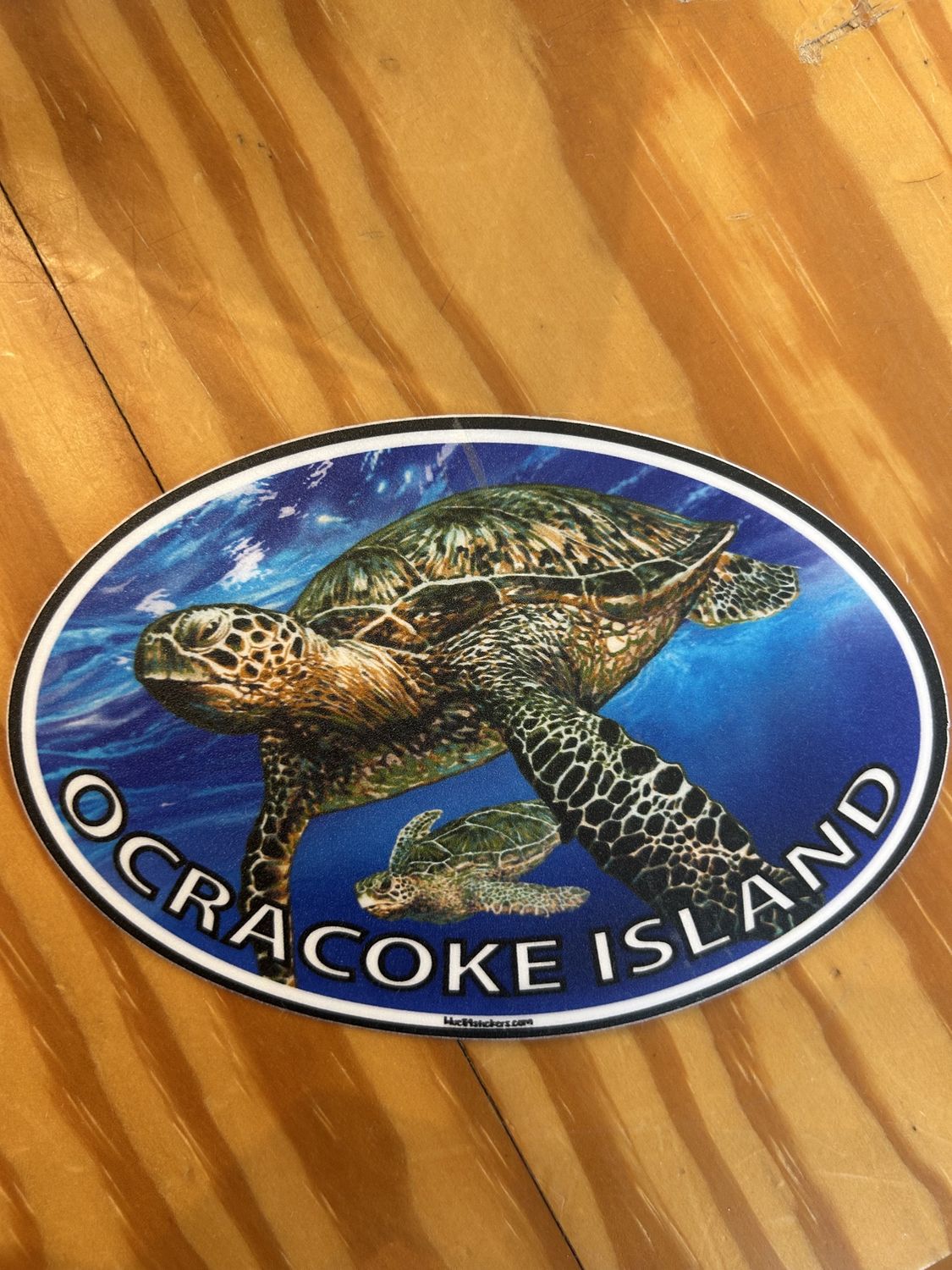 Euro Style Turtle Sticker