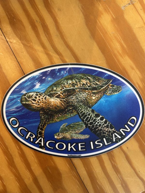Euro Style Turtle Sticker