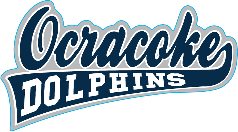 Ocracoke Dolphins Sticker