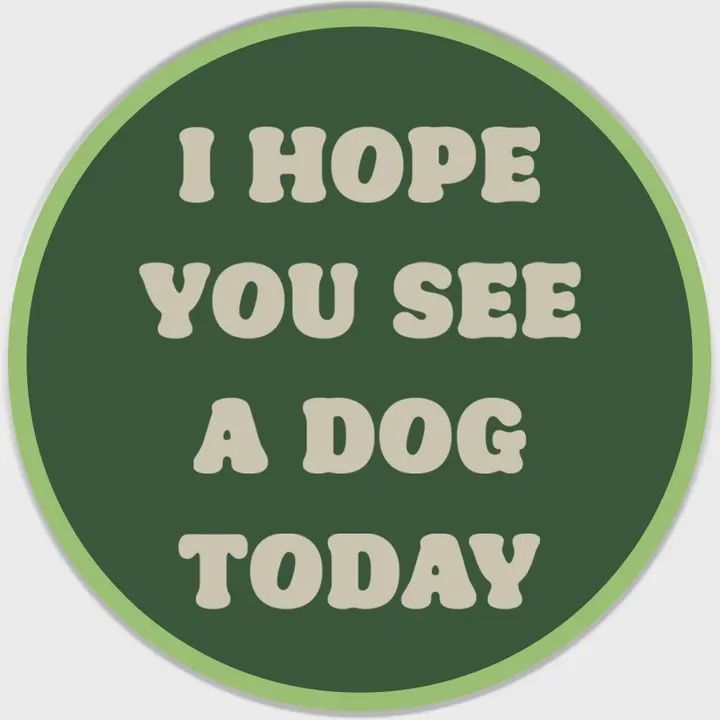 I Hope You See A Dog Today Sticker