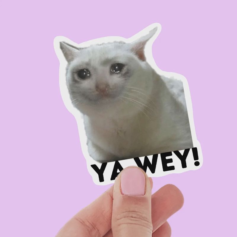 Ya Wey Funny Cat Meme Sticker