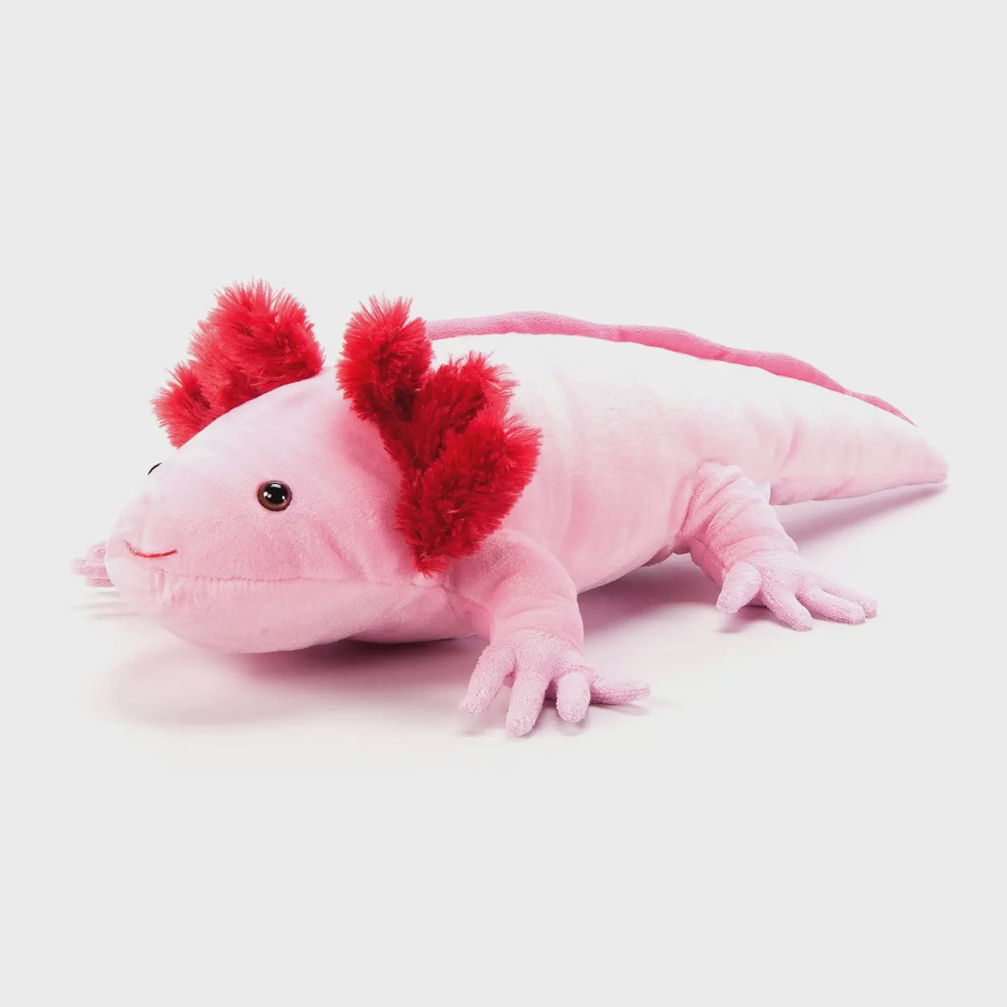 21&quot; Medium Axolotl