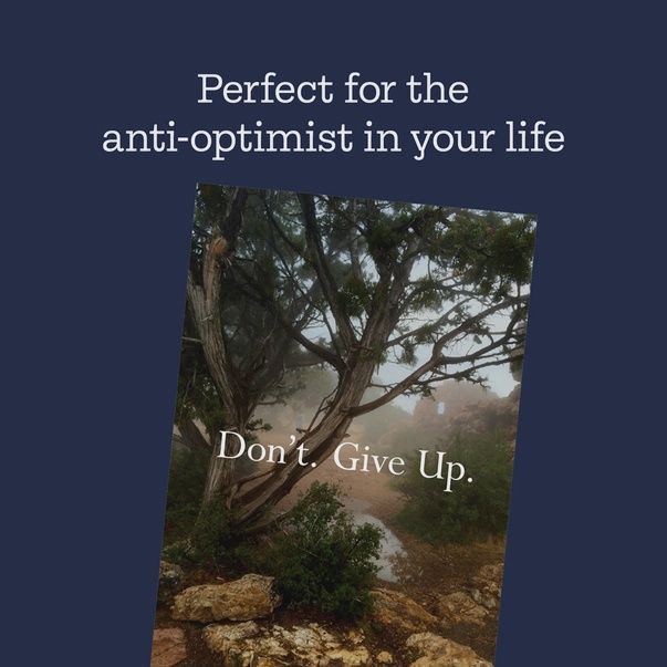Disappointing Affirmations: Book