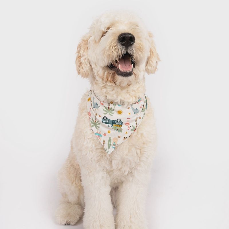 Coastal Pet Bamboo Bandana