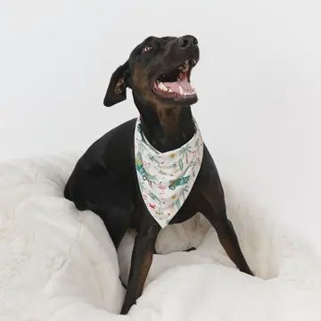 Coastal Pet Bamboo Bandana