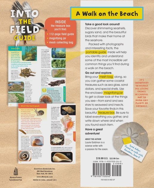 Walk On the Beach By Laurie Goldman