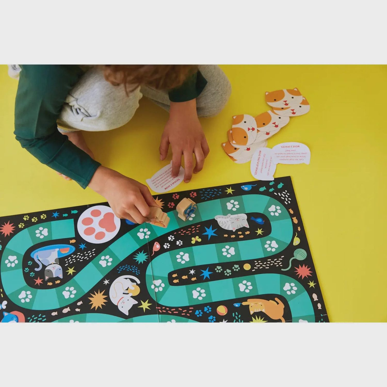 Catventures Board Game