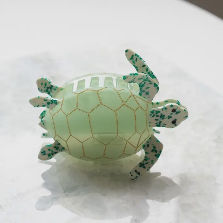 Eco Friendly Turtle Hair Clip, Large, Color: light green