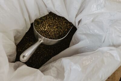 EARTHY ZEST - Robusta Coffee Beans